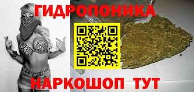трава Аргун