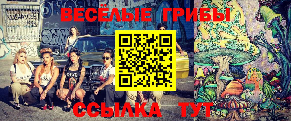 Псилоцибиновые грибы мицелий  Галлюциногенные грибы MAGIC MUSHROOMS  Вход с VPN  Воронеж 